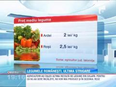 Ultima recolta pentru agricultorii romani