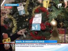 Bradul de Craciun, in varianta ecologica