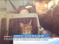 Dorinta de o suta de mii de like-uri pe Facebook