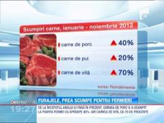 Graul pentru furaj a ajuns mai scump decat cel pentru panificatie