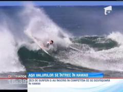 Pasionatii de surf se intrec in Hawaii
