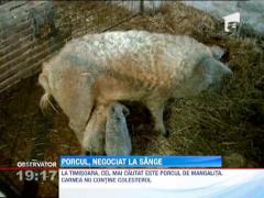 Pretul carnii de porc pentru Craciun