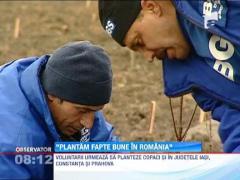 O padure de frasini si ulmi ii va proteja pe oamenii dintr-o comuna ilfoveana de calamitati