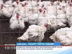 Observator de weekend