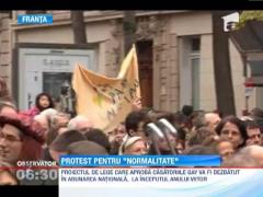 Protest impotriva casatoriilor gay, in Franta