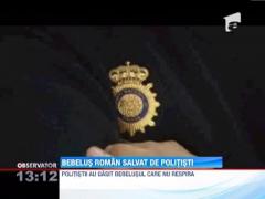 Bebelus nascut de o romanca, salvat de politistii spanioli