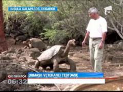 O specie de broasca testoasa considerata disparuta, redescoperita