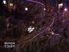 Cel mai mare pom de Craciun din tara, amplasat in Baia Mare