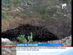 Actorul Sylvester Stallone a fost amendat in Bulgaria pentru ca a tulburat linistea unor lilieci