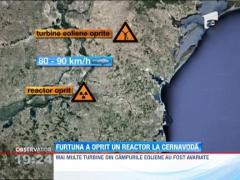 Eolienele din Dobrogea au fost avariate de vantul prea puternic