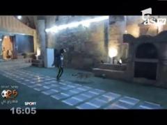 Un ghepard, noul jucator al arabilor de la Al Ittihad