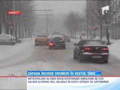 Observator de weekend