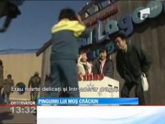 Pinguinii lui Mos Craciun