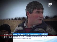 UPDATE / Copil impuscat de un padurar