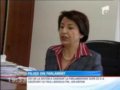 Pilosii din Parlament