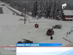 Viscolul a facut ravagii in sudul tarii