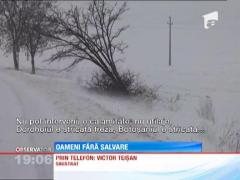 UPDATE! Judetul Botosani, paralizat de viscol si ninsoare! Peste 25 de masini au ramas blocate pe un drum national