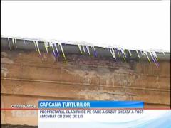 O tanara din Craiova a fost lovita in cap de catre un turtur