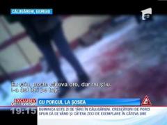 Cu trei zile inainte de Ignat, porcii se vand la sosea