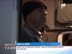 UPDATE / Coada de sute de TIR-uri la salina