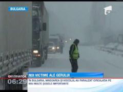 Iarna deosebit de geroasa in estul Europei