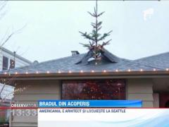 Un american si-a decupat acoperisul pentru a potrivi un brad imens in sufragerie