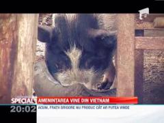 Observator special 21/12/2012