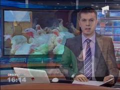 Observator 16 Weekend