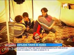 Copilarie furata de razboi