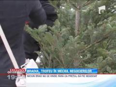 Vanzatorii de brad care tin cu dintii de preturi