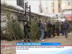 Brazii de Craciun, ultima strigare