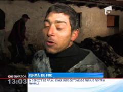 Incendiu de proportii in Buzau. Un depozit cu furaje si un grajd cu aproape 70 de vite s-au facut scrum