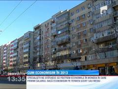 Cum economisim in 2013