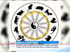 Previziunile astrale pentru anul 2013