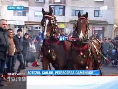 Credinciosii si-au botezat animalele cu apa sfintita