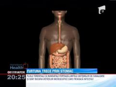 Ploile in exces provoaca dureri stomacale