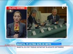 Bugetul de stat, decis dupa 20 ianuarie