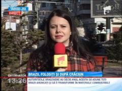 Brazii de Craciun, transformati in materiale combustibile si ingrasamant natural