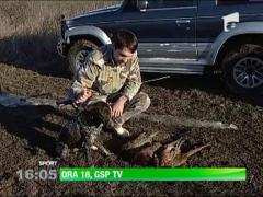 Valerica Gaman e vanator inrait