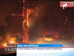 Incendiile de vegetatie fac ravagii in Australia