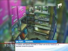 Jaf de suflet in Marea Britanie