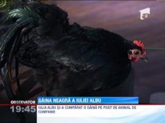 Iulia Albu si-a luat o gaina de companie