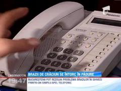 Cum scapati de pomii de Craciun fara niciun efort