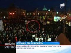 Cezar Avramuta, stegarul in cautarea adevarului