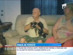 SUA: O pisica a strabatut 300 de kilometri pentru a-si regasi stapanii