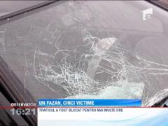 Grav accident rutier, provocat de un fazan