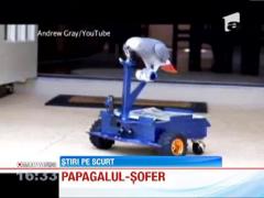 Un papagal din America a invatat sa conduca un vehicul