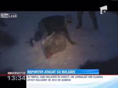 Un reporter din Olanda a fost atacat cu bulgari, chiar in timpul unui relatari in direct
