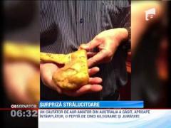 O pepita l-a imbogatit pe un cautator de aur amator din Australia