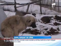 Observator 13 Weekend